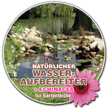 Natürlicher Wasseraufbereiter mit Echinacea für Ihren Gartenteich